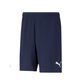 Puma Team Rise Short-Navy