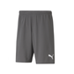 Puma Men's Team Rise Short