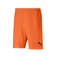 Puma Men's Team Rise Short