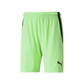 Puma Men's Team Liga 25 Shorts