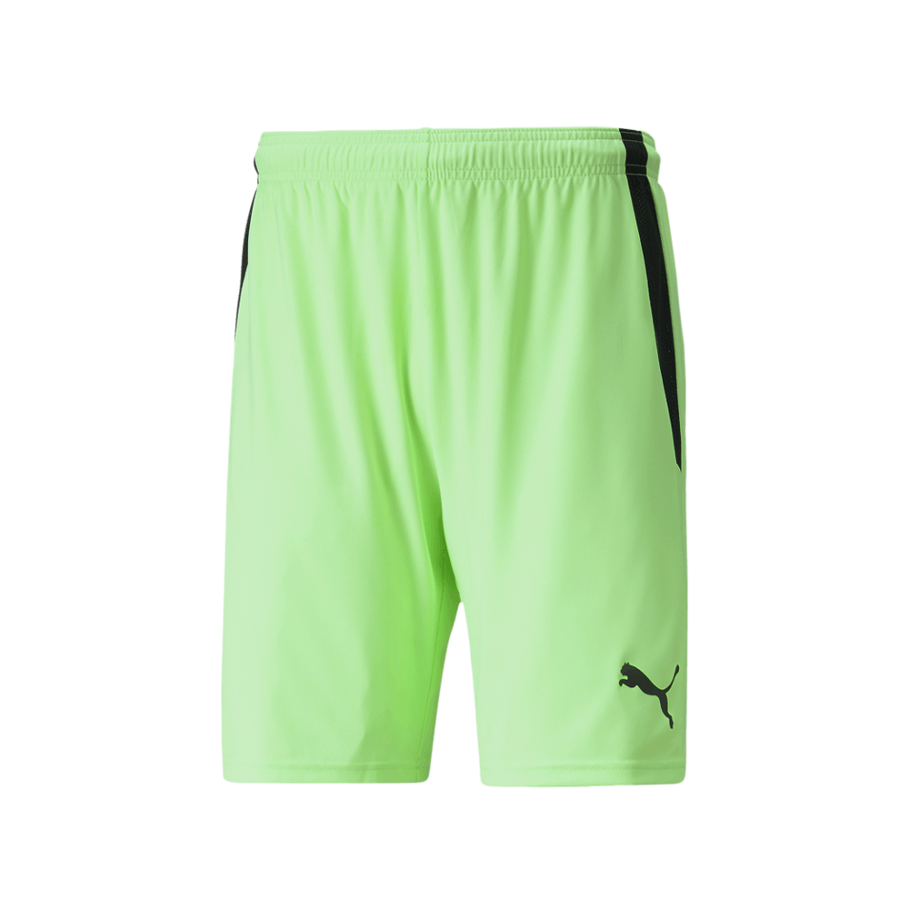 Puma Men's Team Liga 25 Shorts
