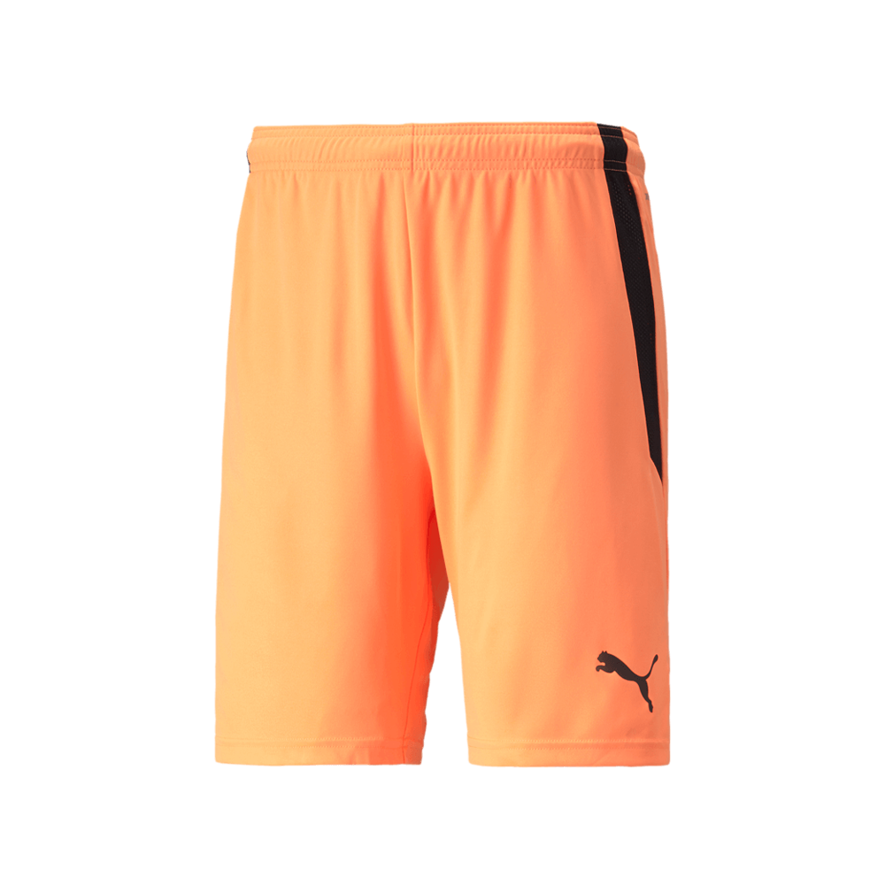 Puma Men's Team Liga 25 Shorts