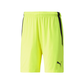 Puma Men's Team Liga 25 Shorts