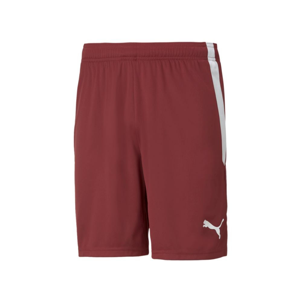 Puma Men's Team Liga 25 Shorts