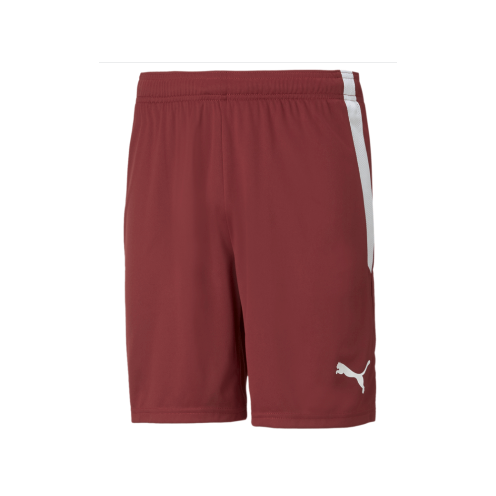 Puma  Youth Team Liga 25 Shorts
