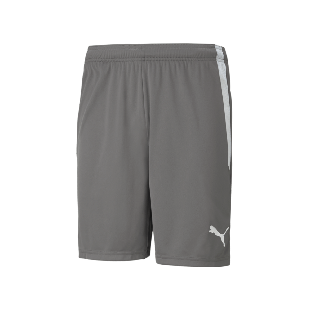 Puma  Youth Team Liga 25 Shorts
