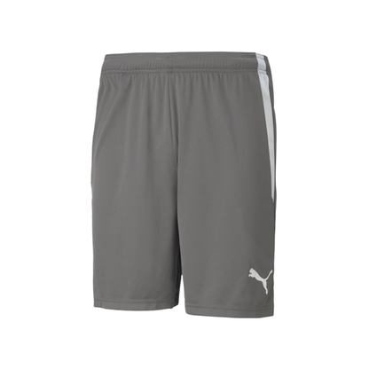 Puma  Youth Team Liga 25 Shorts