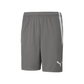 Puma Men's Team Liga 25 Shorts