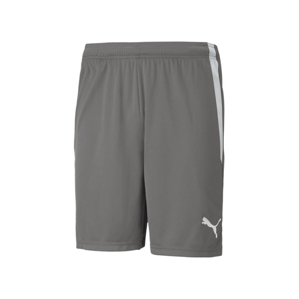 Puma Men's Team Liga 25 Shorts