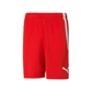 Puma Men's Team Liga 25 Shorts