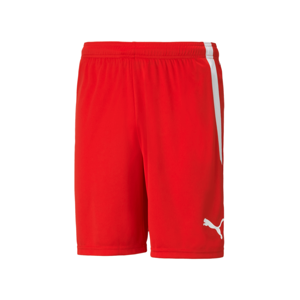 Puma Men's Team Liga 25 Shorts