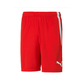 Puma  Youth Team Liga 25 Shorts