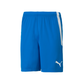Puma Men's Team Liga 25 Shorts