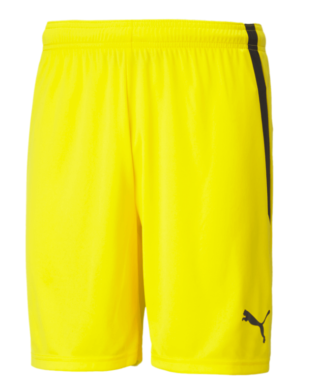 Puma liga core short shop