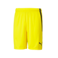 Puma  Youth Team Liga 25 Shorts