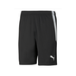 Puma  Youth Team Liga 25 Shorts