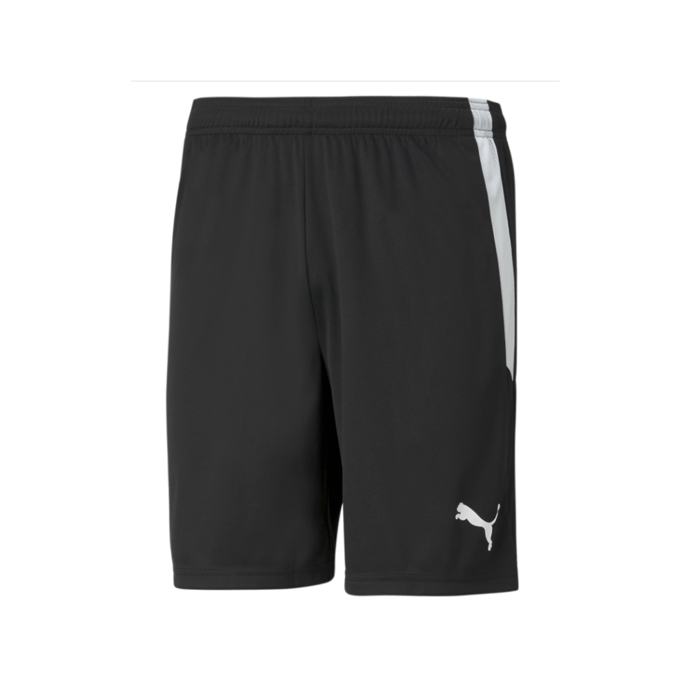 Puma  Youth Team Liga 25 Shorts