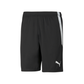 Puma Men's Team Liga 25 Shorts
