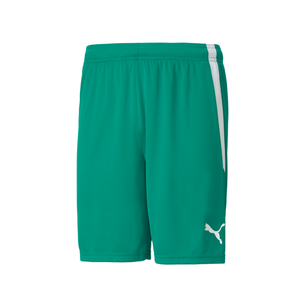 Puma Men's Team Liga 25 Shorts
