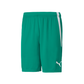 Puma  Youth Team Liga 25 Shorts