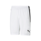 Puma  Youth Team Liga 25 Shorts