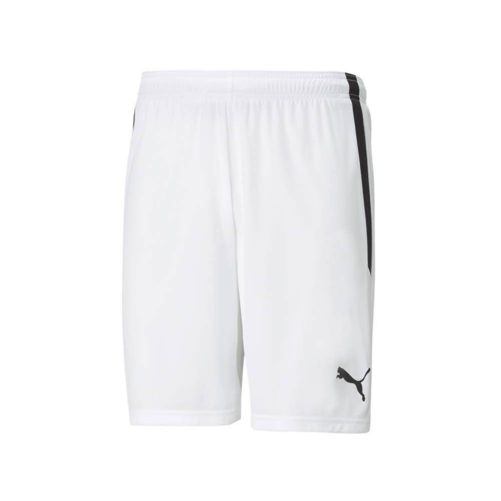 Puma  Youth Team Liga 25 Shorts