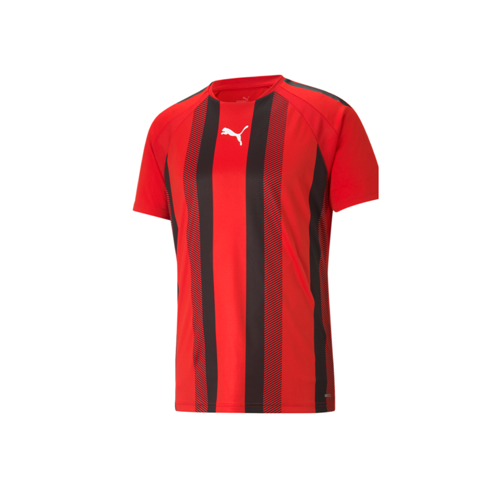 Puma YOUTH Liga Stripe Jersey-Red