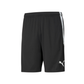 Puma Team Liga 25 Training Shorts-Black