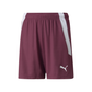 Puma YOUTH Team Liga 25 Shorts - Grape Wine-Puma White