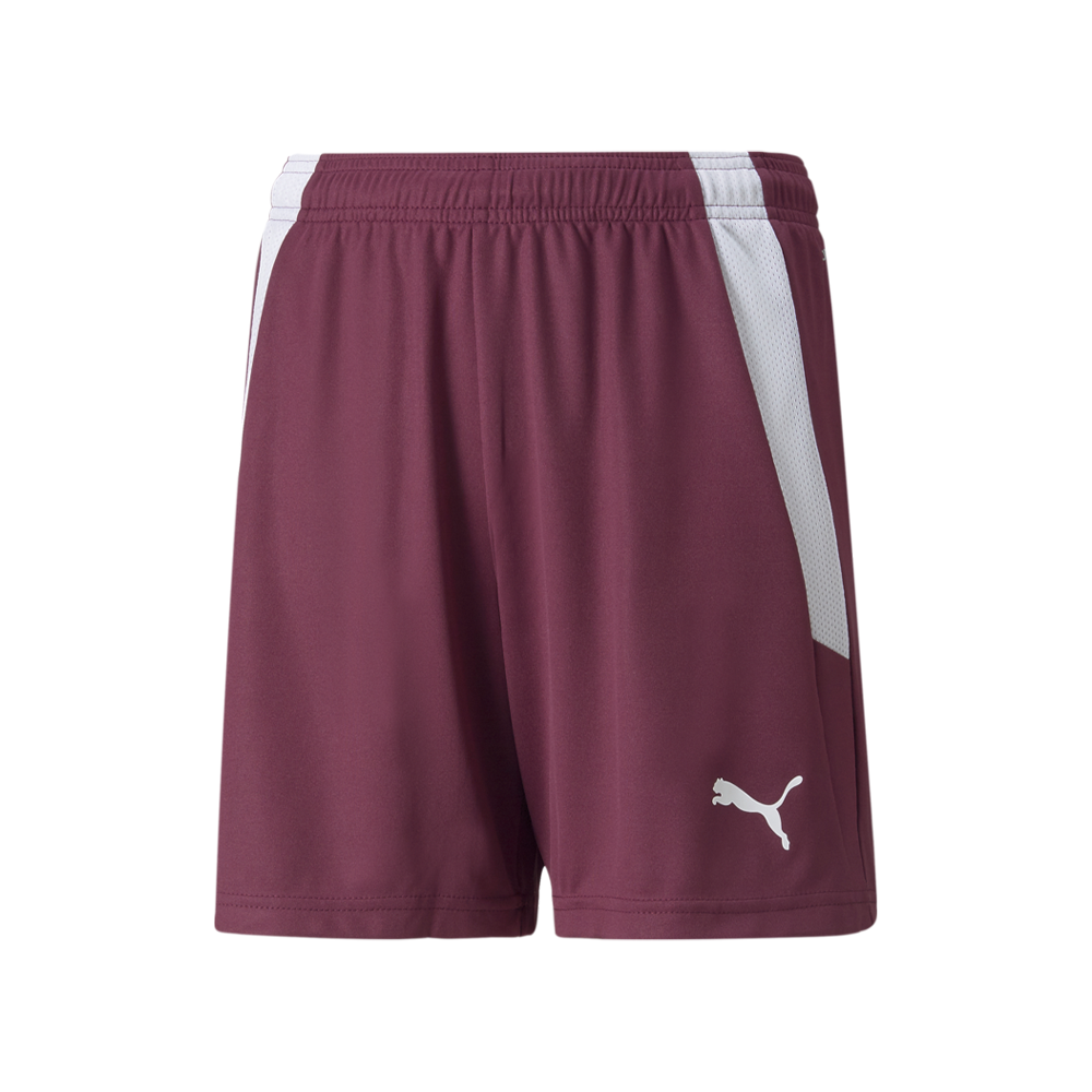 Puma YOUTH Team Liga 25 Shorts - Grape Wine-Puma White