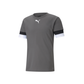 Puma  Youth Team Rise Jersey