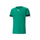 Puma  Youth Team Rise Jersey