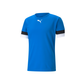 Puma  Youth Team Rise Jersey