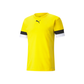Puma  Youth Team Rise Jersey