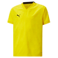 Puma YOUTH Team Cup Jersey