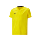 Puma Youth Team Cup Jersey