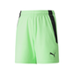 Puma  Youth Team Liga 25 Shorts
