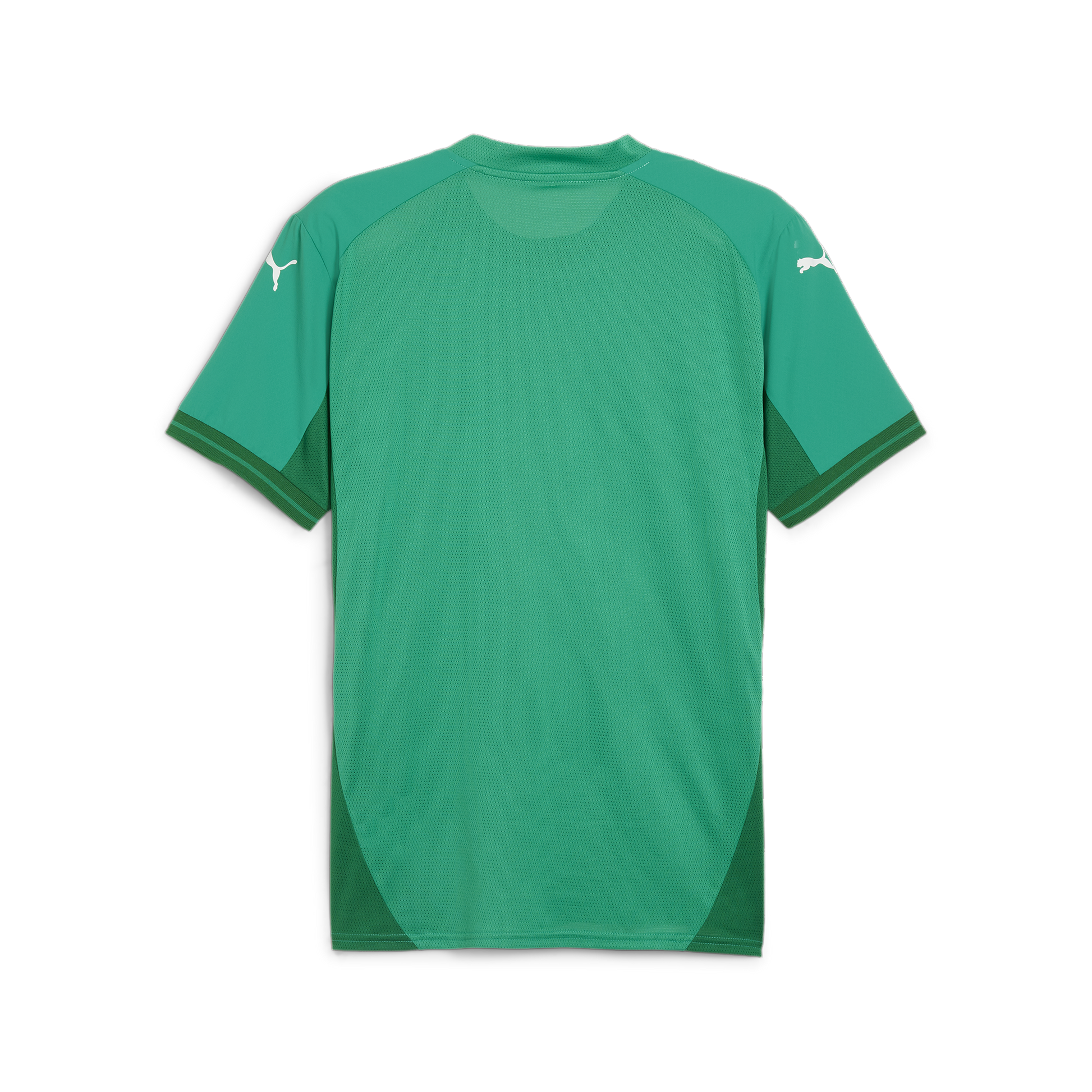 Sport Green-Puma White-Power Green (Back