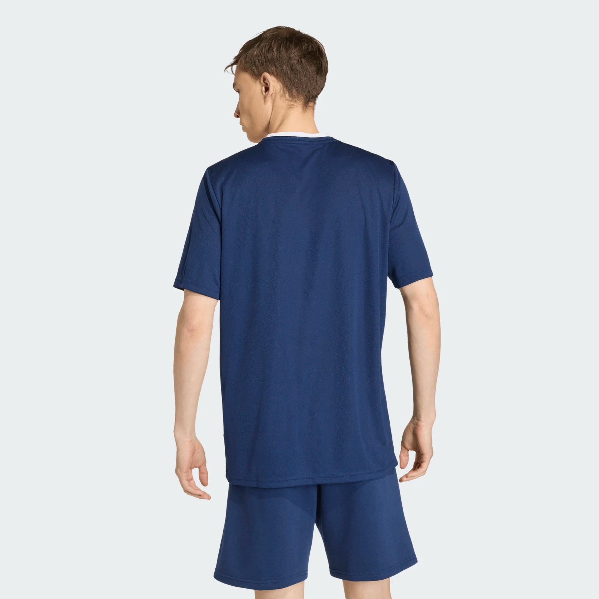 adidas Men's Entrada 26 Polyester Tee Team Navy Blue back