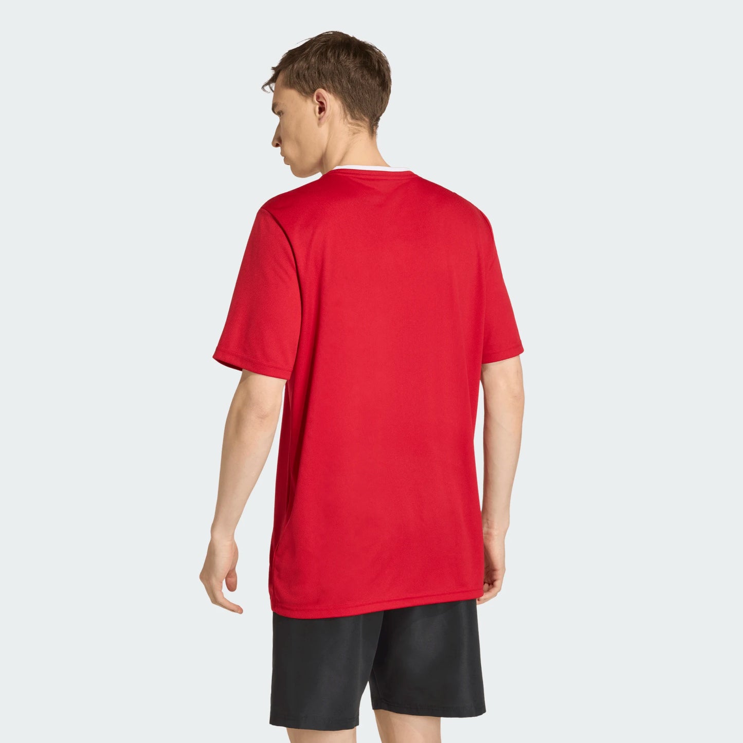 adidas Men's Entrada 26 Polyester Tee Team Power Red back