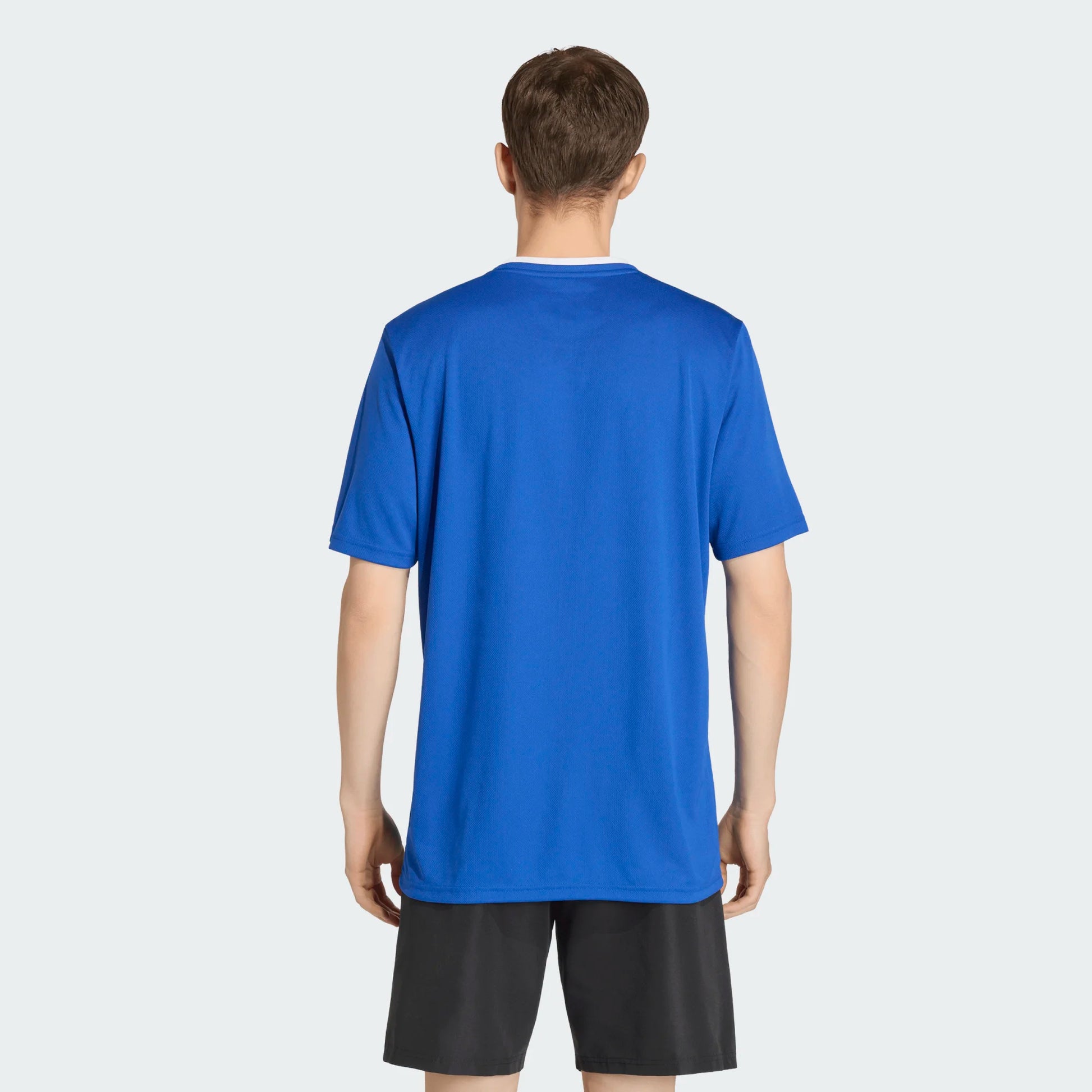 adidas Men's Entrada 26 Polyester Tee Team Royal Blue back