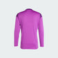 adidas Youth Tiro 25 Competition Goalkeeper Jersey Long Sleeve Purple Burst (Back)