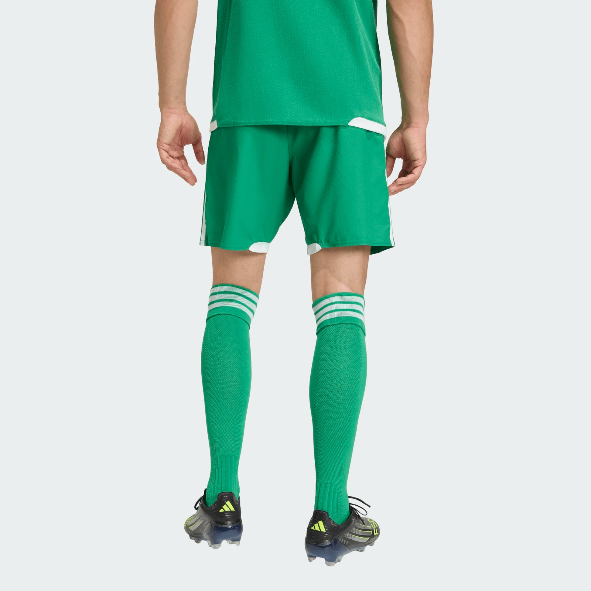 adidas Men's Tiro26 Competition Match Day Shorts Team Green_White (Model - Back)