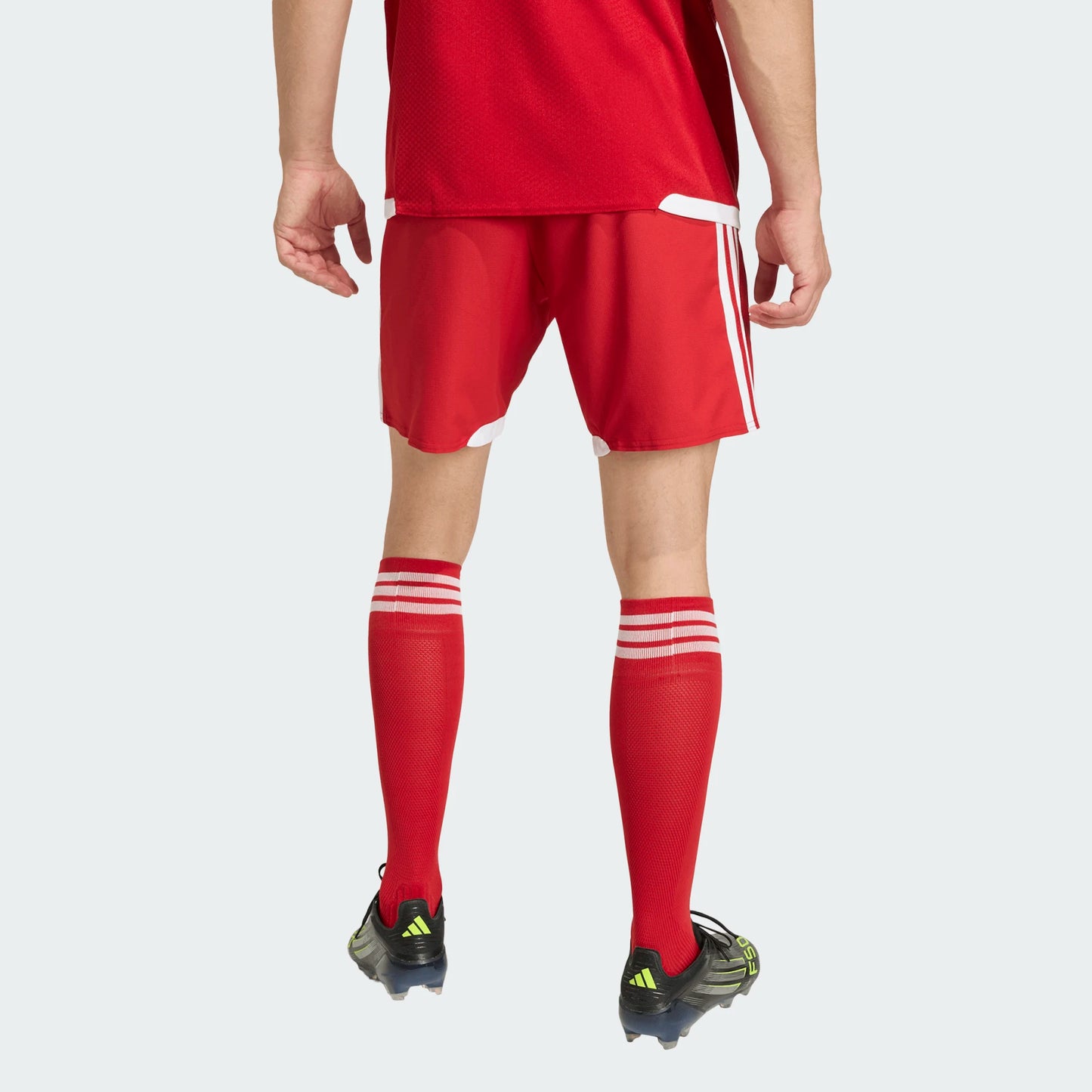 adidas Men's Tiro26 Competition Match Day Shorts Team Power Red 2_White (Model - Back)