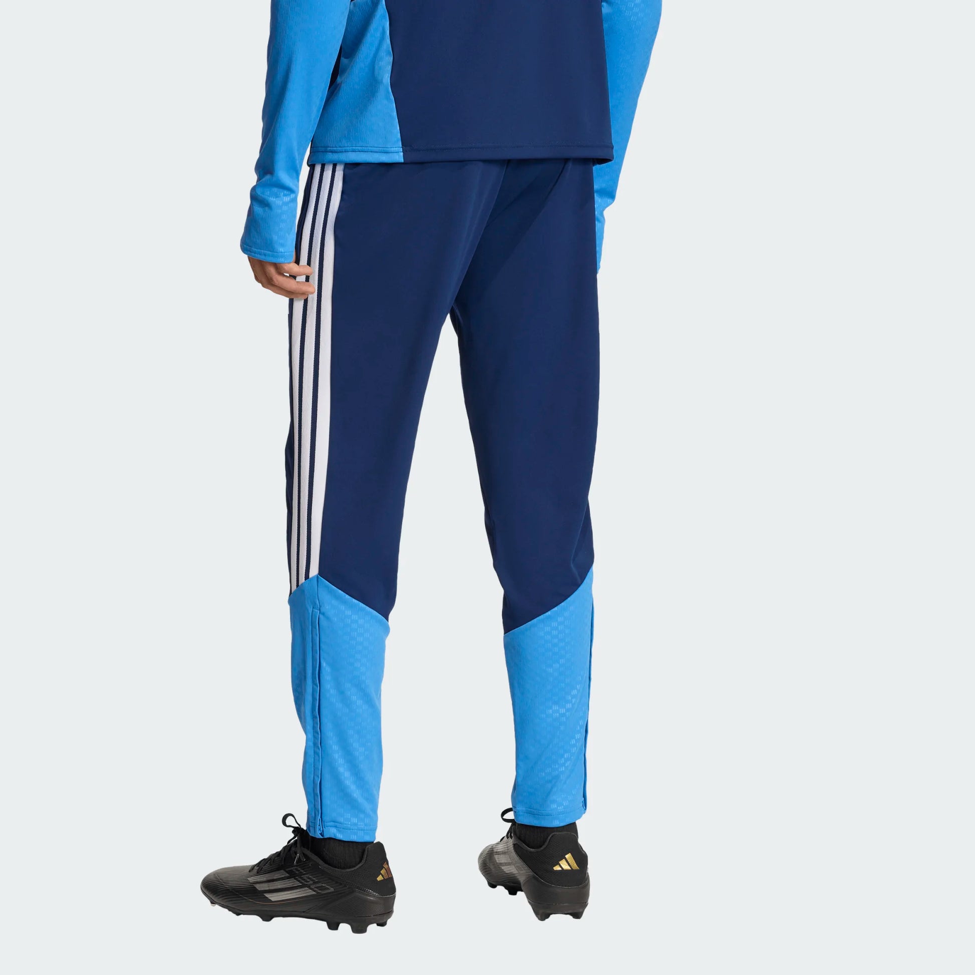 adidas Men's Tiro 26 Competition Training Pant Team Royal Blue Back