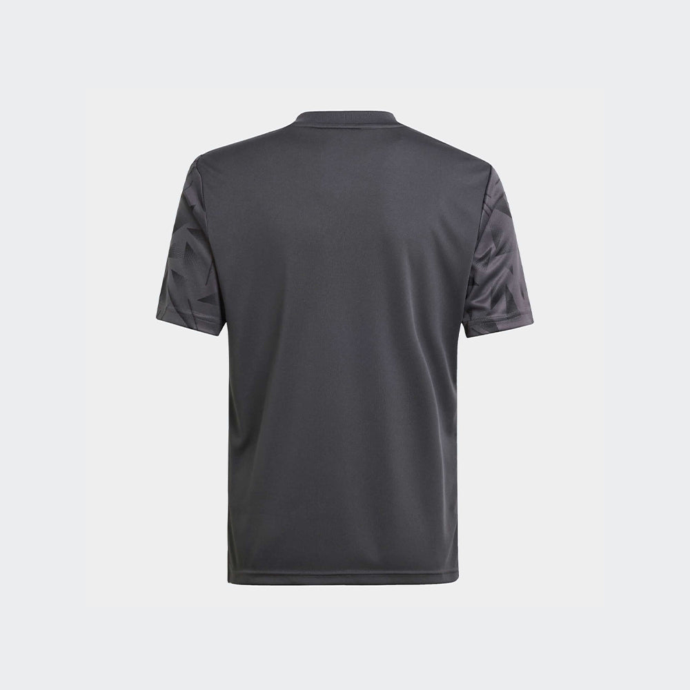 adidas Youth Team Icon 25 Jersey