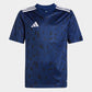 adidas Youth Team Icon 25 Jersey