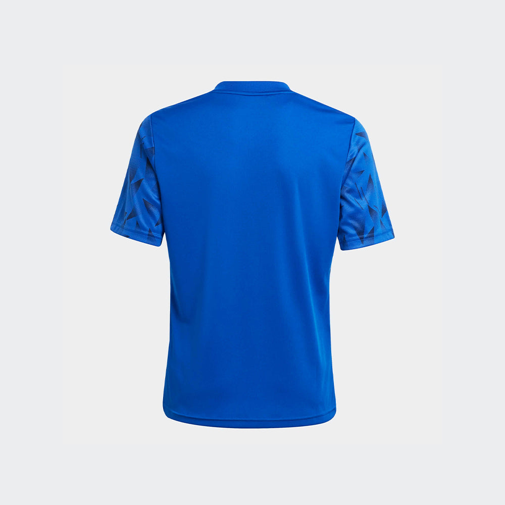 adidas Youth Team Icon 25 Jersey