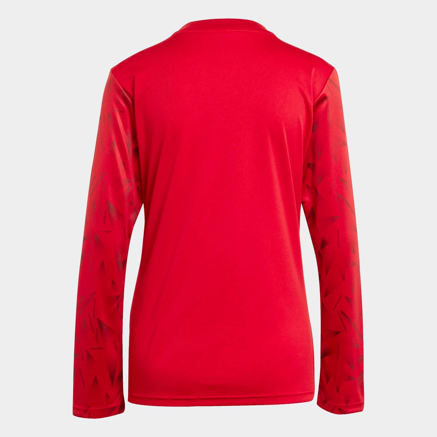 adidas Women's Team Icon 25 Long Sleeve Jersey