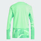adidas Women's Tiro 26 Competition Goalkeeper Jersey Long Sleeve Lime Burst Back